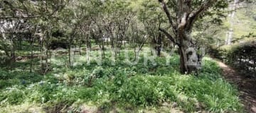 Terreno 1571m² en La Viña con planos para casa de 2 pisos