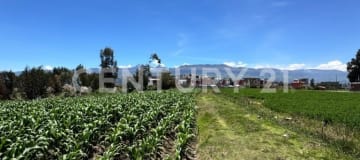 Terreno de 28 mil m² en San Miguel de Tapi - Alto potencial