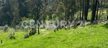 Terreno residencial en Conocoto con factibilidad de servicios