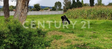 2 lotes de 3096 m² en Ascázubi, ideal para proyectos residenciales