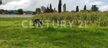 2 lotes de 3096 m² en Ascázubi, ideal para proyectos residenciales