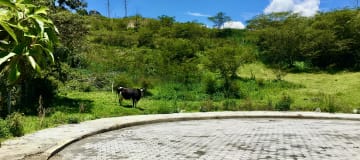 Venta terreno 1.331m2 Guayllabamba, semi plano con hermosa vista