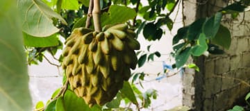 Venta casa Guayllabamba, 4 dormitorios y terreno de 2700m2