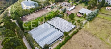 Propiedad productiva 11,224m² con invernaderos y acceso E35
