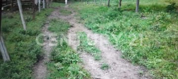 Finca 230Ha con ríos, apta para agricultura y ganadería
