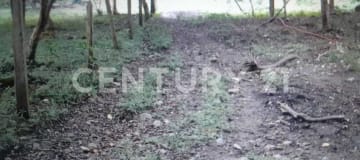 Finca 230Ha con ríos, apta para agricultura y ganadería