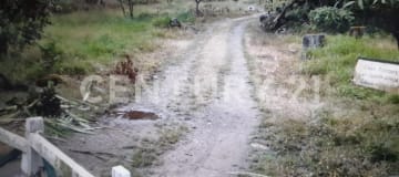 Finca 230Ha con ríos, apta para agricultura y ganadería