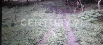 Finca 230Ha con ríos, apta para agricultura y ganadería