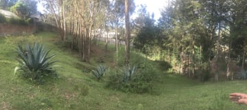 Venta terreno Cumbayá, 3.485m2 Colegio Terranova