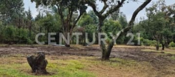 Terreno exclusivo en La Palma, Puembo - 3190m² para tu hogar
