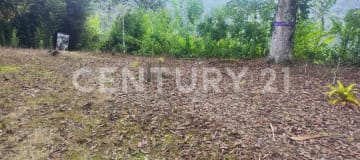 Bosque de 18 ha con cascadas y restaurante cerca de Quito