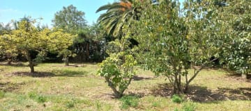 Land and house for sale between Guayllabamba and El Quinche, stress-free