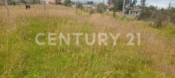 Terreno 7.201m² en Pintag - Ideal para casa o proyecto agrícola