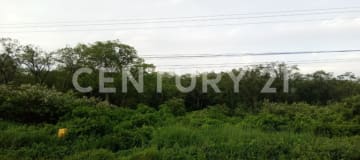 23.95 ha cerca de Manta - Ideal para parque industrial