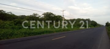 23.95 ha cerca de Manta - Ideal para parque industrial