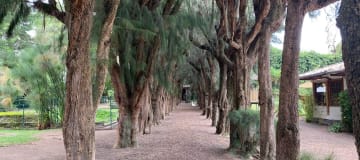 Venta Quinta 3500m² en Tumbaco – Sector Hilacril. SC