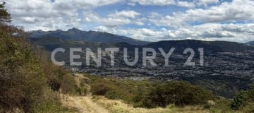Terreno de 10.000m² en faldas del Ilaló con privacidad
