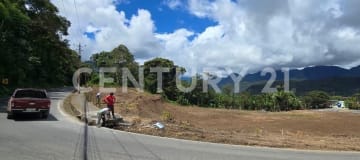 4 lotes en Mindo, ideal para proyectos turísticos o vivienda