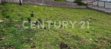 Venta de 2 terrenos en Pifo con servicios básicos