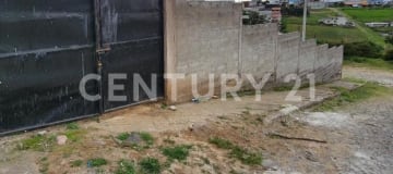 Venta de 2 terrenos en Pifo con servicios básicos