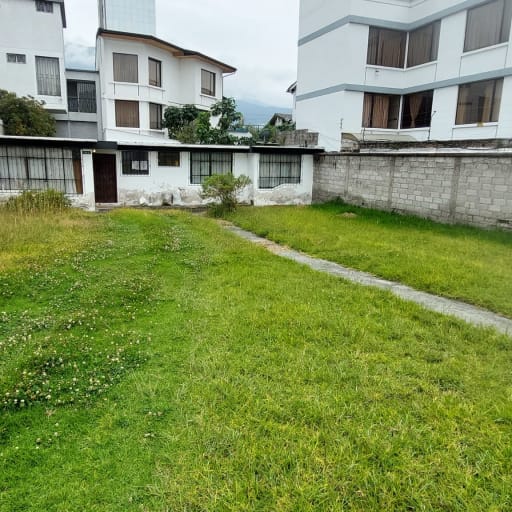 image6