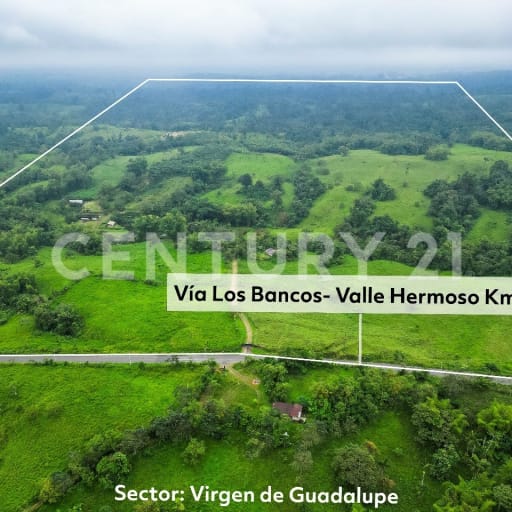 Finca 138ha en San Miguel de Los Bancos: Ganadera y con Potencial