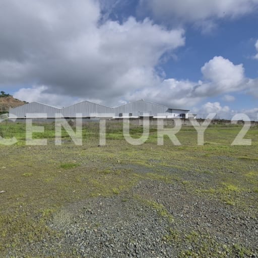 Macrolote industrial 33,365m² en Petrillo listo para desarrollo