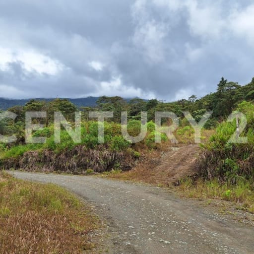 12.89 ha en Mira - Terreno para eco-turismo y glamping