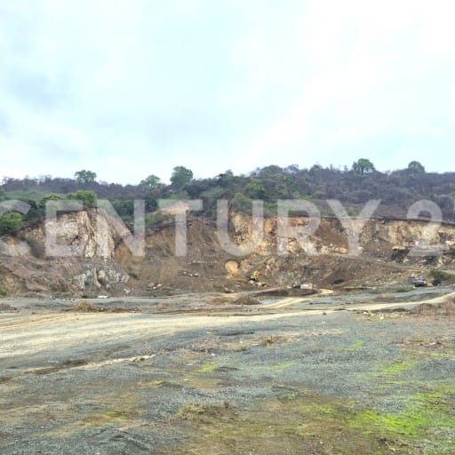 Macrolotes industriales en Petrillo desde 5Ha con permisos vigentes