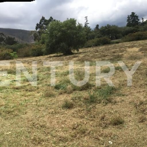 Terreno ideal para proyecto inmobiliario cerca de Av. Simón Bolívar