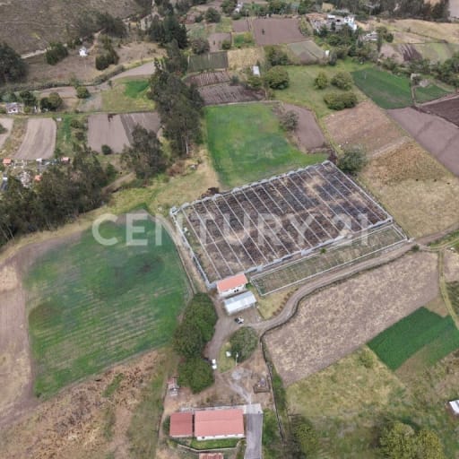 Finca productiva de 7.4 ha con galpones y agua propia