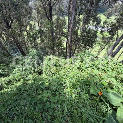 Terreno 16,473m² en urbanización exclusiva junto a campo de golf
