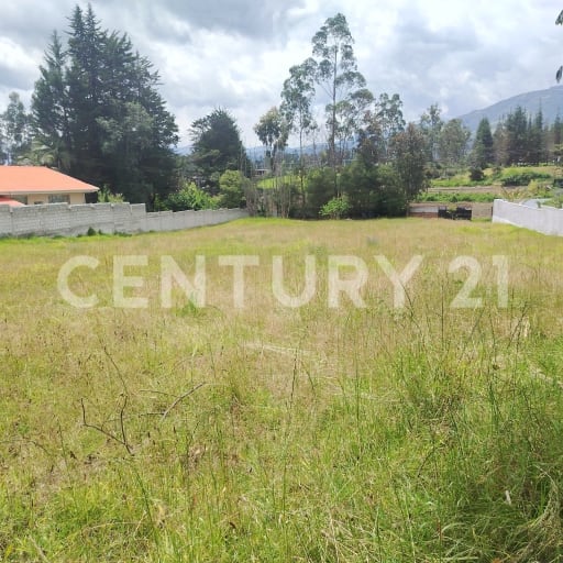 Terreno en Puembo: tranquilidad y plusvalía cerca de Quito