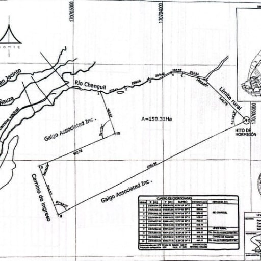 150 ha en Altos de Bucay: 50 ha Gmelina + inversión forestal