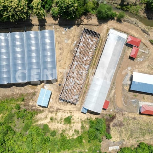 Hacienda CBD en Santa Elena: 20ha con planta procesadora y licencia