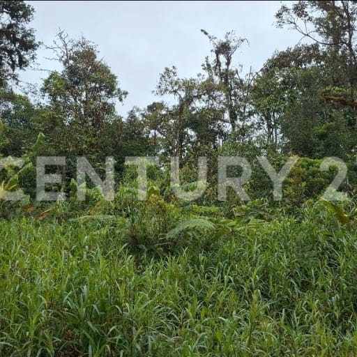 54.8 ha en Carchi - Oportunidad para eco-turismo y minería