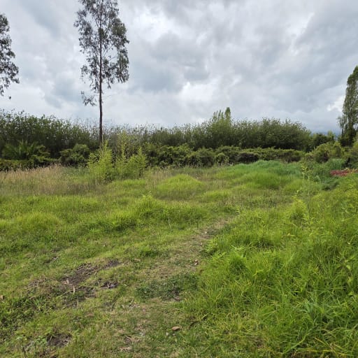 Terreno en renta de 2.500 m² – Puembo, Barrio San José – USD 500 mensuales
