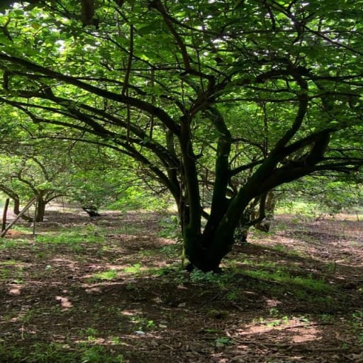 Venta terreno Guayllabamba, 1074 m2 cerca al zoológico