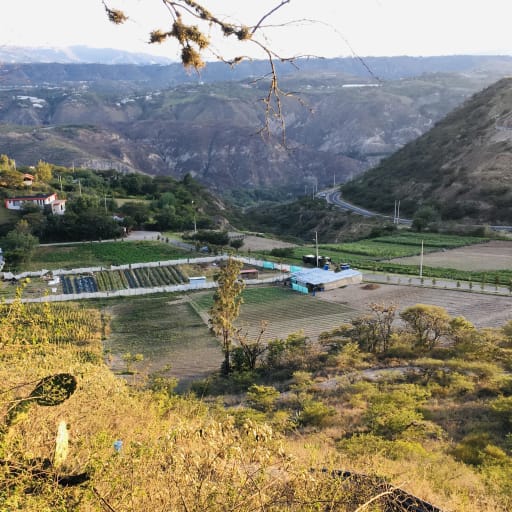 Venta de 3 y 1/2 hectáreas terreno para tomate cherry y girasol