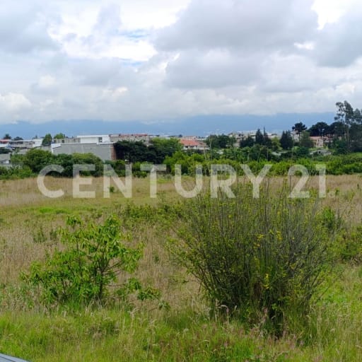 Terreno en Pifo - 10.000 m² para proyecto inmobiliario