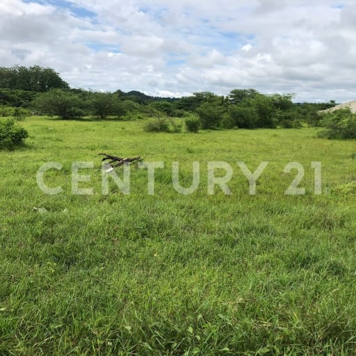 1.5 ha en Vía a la Costa - Oportunidad logística y comercial
