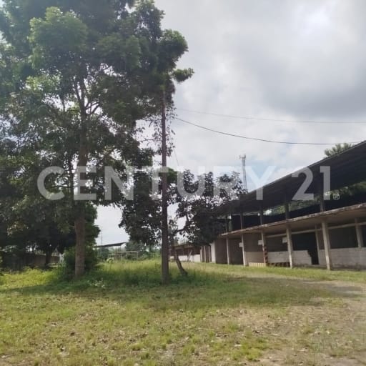 Terreno de 22,000m² en La Maná con servicios básicos