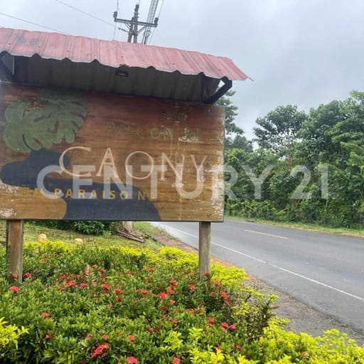 Terreno 1010m² en Balcón Caony: naturaleza y río para cabaña o ecoturismo