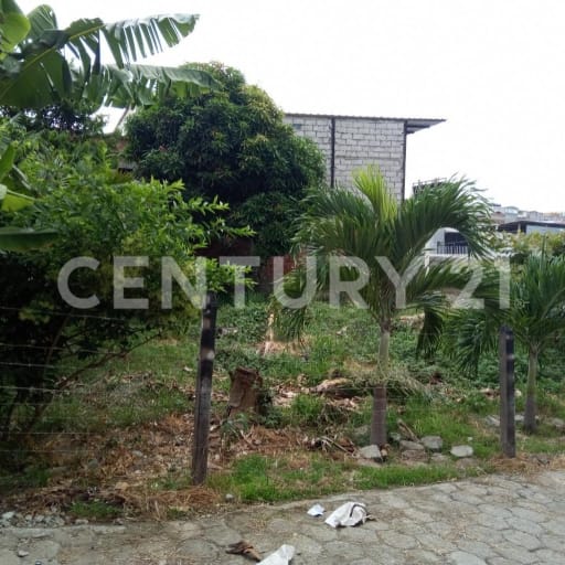 Lote en Umiña: alta plusvalía y cercanía a servicios