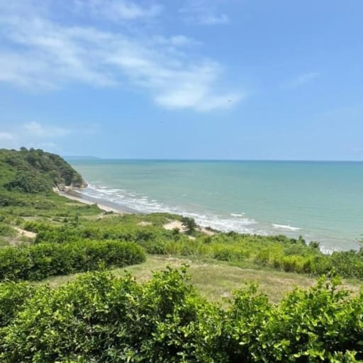 VENTA TERRENO JAMA MANABI JUNTÓ AL BALNEARIO TASASTE