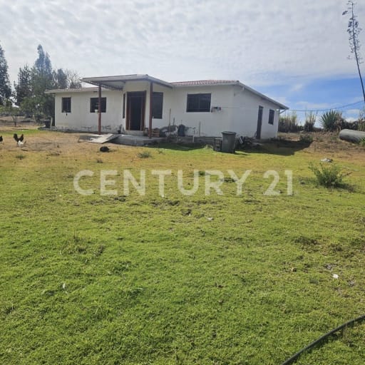 Finca 26,000m² en San Isidro de Patulú - Ideal agropecuario