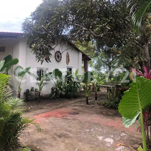 Finca 4.2ha en Milagro - Lagunas y frutales - Inversión turística $240K