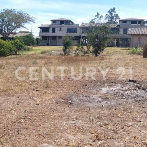 Terreno 6.000m² en Tumbaco con árboles frutales y obra gris