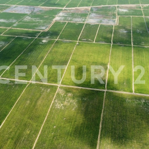 145 ha en Puerto Inca - Ideal agroexportación banano, cacao y caña