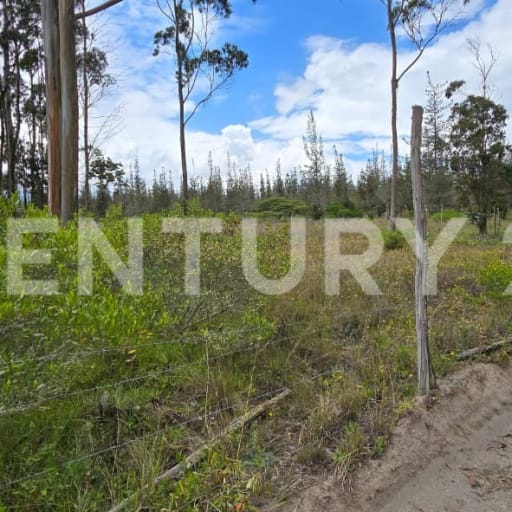 Terreno de 2.984 m² en San Juan de Malchinguí para casa de campo